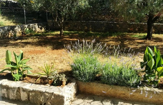 Garden - sea View - A1 - Foto 10