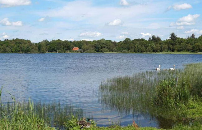 8 Person Holiday Home in Ansager - Foto 29