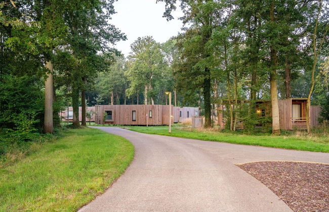 Belvilla Blissful Cottage in Nature - Foto 21