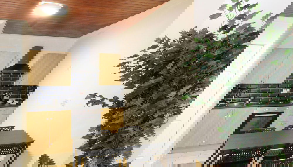Image principale
