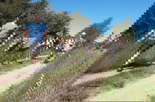 Foto 16 - Familienfreundlicher Urlaub im Landhaus Obergude