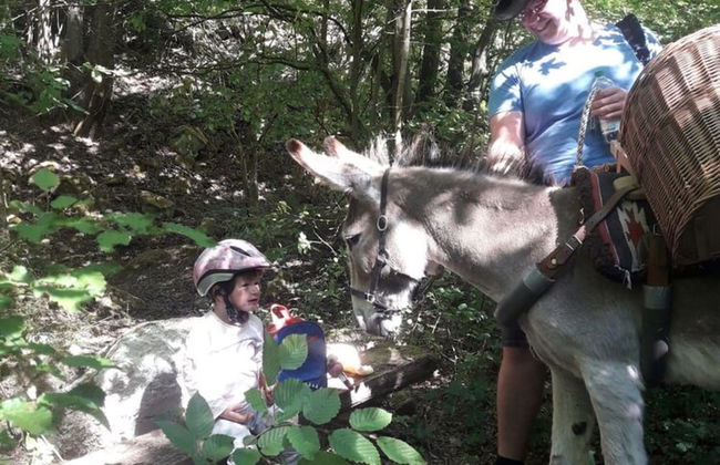 Familienfreundlicher Urlaub im Landhaus Obergude - Foto 13
