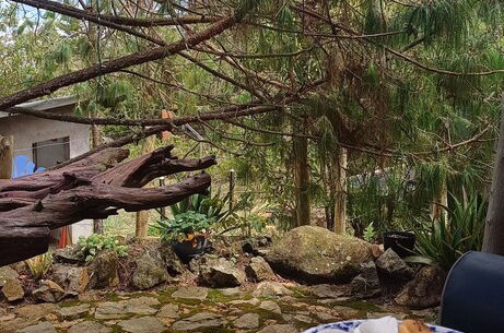 Foto 5 - Glamping Volver a la Tierra