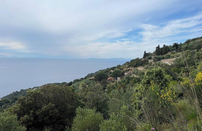 Wildsunset - Villa Cala Moresca - Foto 13