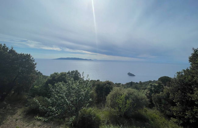 Wildsunset - Villa Cala Moresca - Foto 24