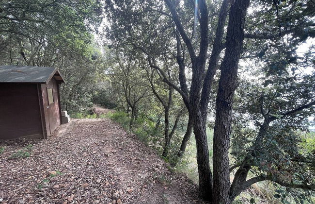 Wildsunset - Villa Cala Moresca - Foto 20