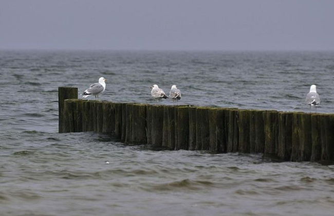 Beach Park 14/3n Comfortable Vacation Home - Foto 19