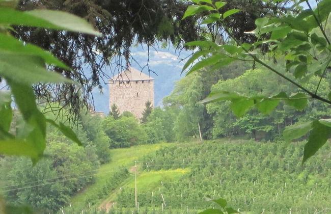Majestic Apartment in Meran - Foto 9