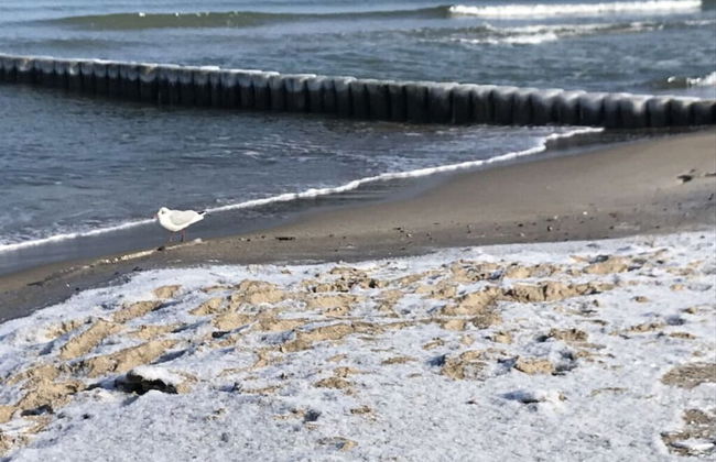 Holiday Home Windfluchter - Foto 16