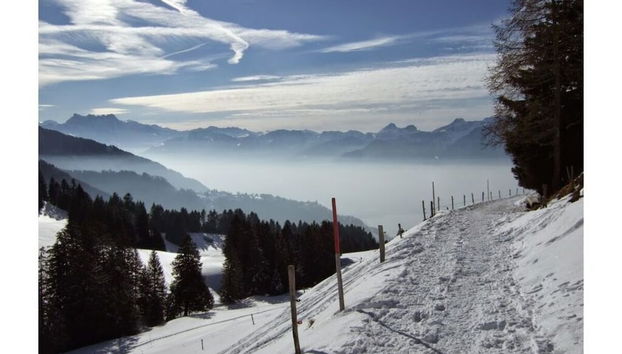 Wintersport/Ski