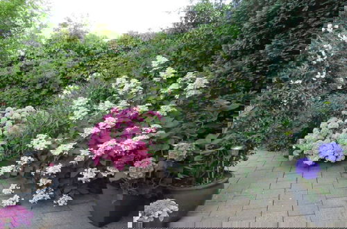 Foto 25 - 