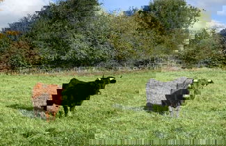 Foto 3 - Country House Landlust