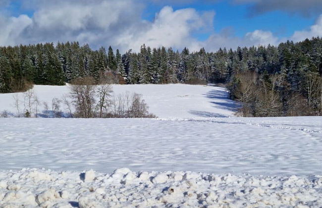 Waldresidenz Comfortable Holiday Residence - Foto 19