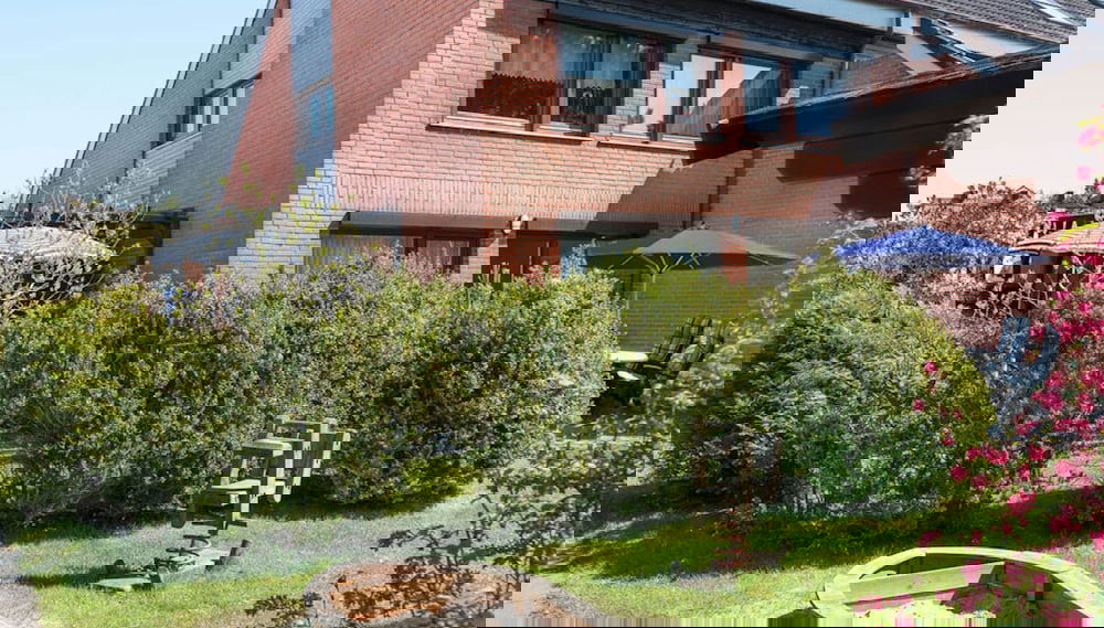 Imagem principal