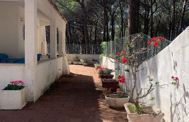 Splendid Detached Villa, Near the sea - Photo 20