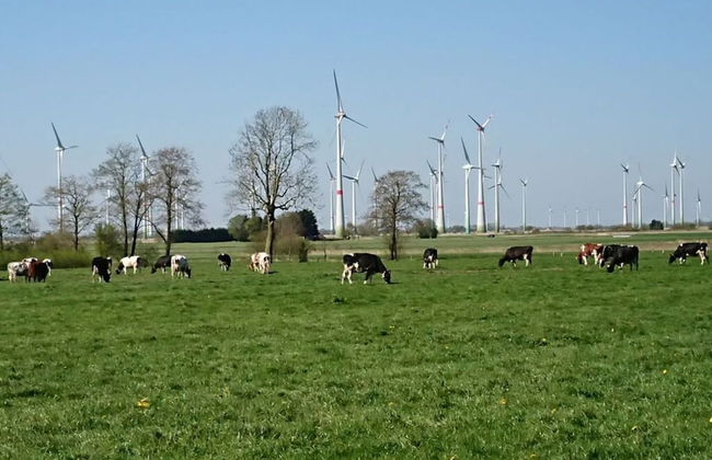 Coastal View of East Frisia - Photo 13