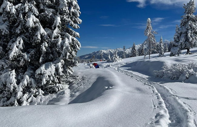 Exclusive Chalet With Sauna and Glacier View - Foto 35