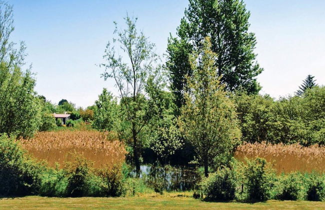 5 Star Holiday Home in Humble - Foto 21