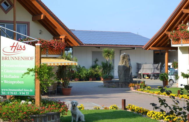 Vakantiewoning in Zwarte Woud - Photo 18