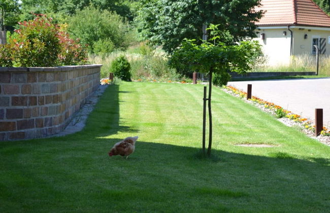 Vakantiewoning in Zwarte Woud - Photo 16
