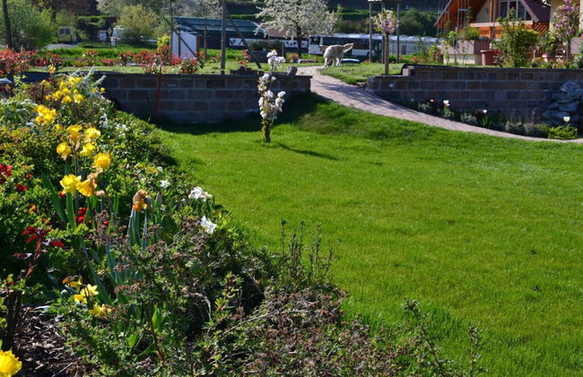 Vakantiewoning in Zwarte Woud - Photo 20