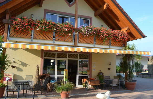 Vakantiewoning in Zwarte Woud - Photo 8