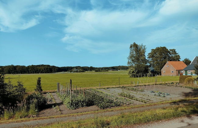Holiday Home in Epse With Sauna - Foto 41