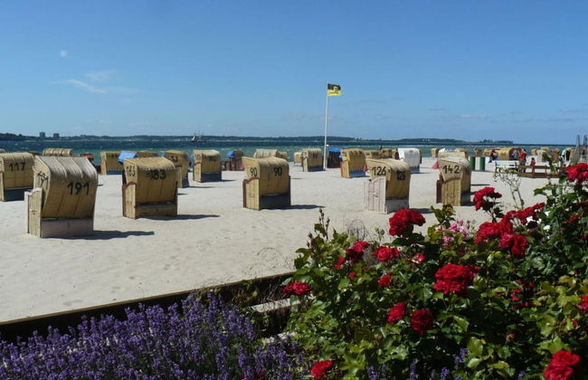 Nice Apartment Near Seabeach - Photo 12