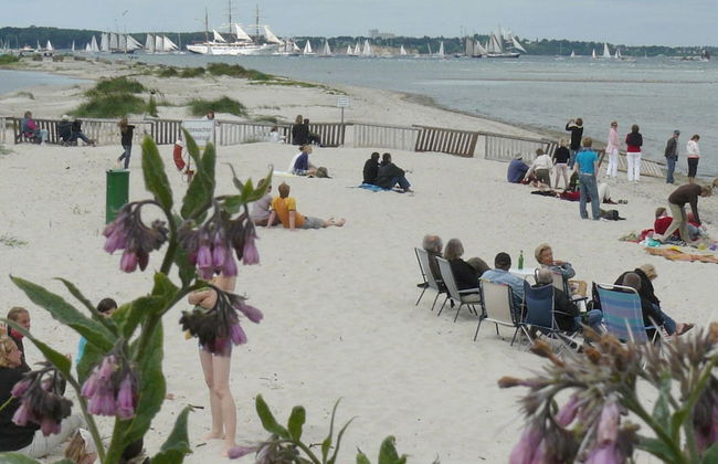 Nice Apartment Near Seabeach - Photo 27