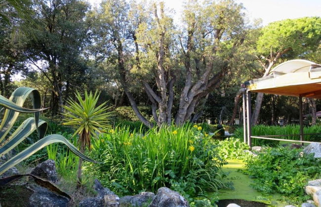 Chalet by the Sea & Shade - Foto 16