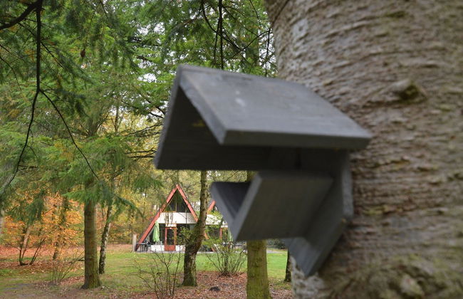Holiday Home in Stramproy Near Nature - Foto 30