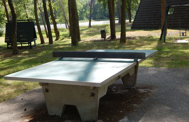 Holiday Home in Stramproy Near Nature - Foto 19