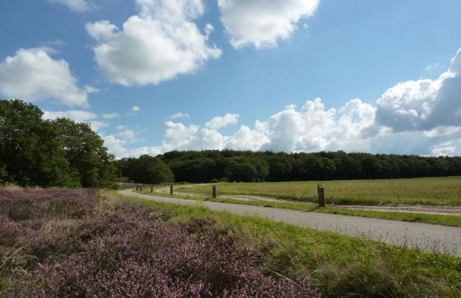 Forest Trails & Swimming Fun - Foto 37