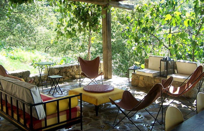 Villa With Pool in Sarteano - Photo 14