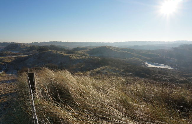 Holiday Home in Noordwijk Near Beach - Foto 17