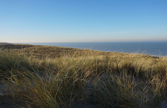 Holiday Home in Noordwijk Near Beach - Foto 16