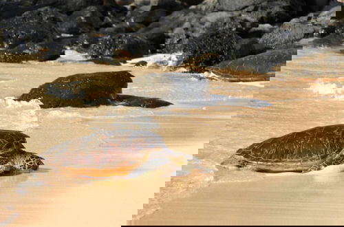 Photo 46 - Napili Shores F246 in Lahaina
