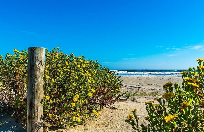 Great Location Go Beyond the Blue - Photo 26