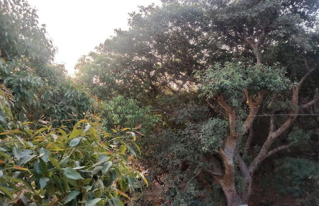Devansh Villa - Foto 27