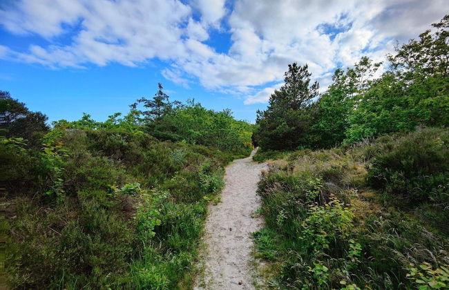 4 Person Holiday Home in Hals-by Traum - Foto 34