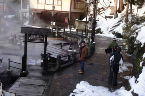 Photo 45 - Nozawa Gondola Apartments