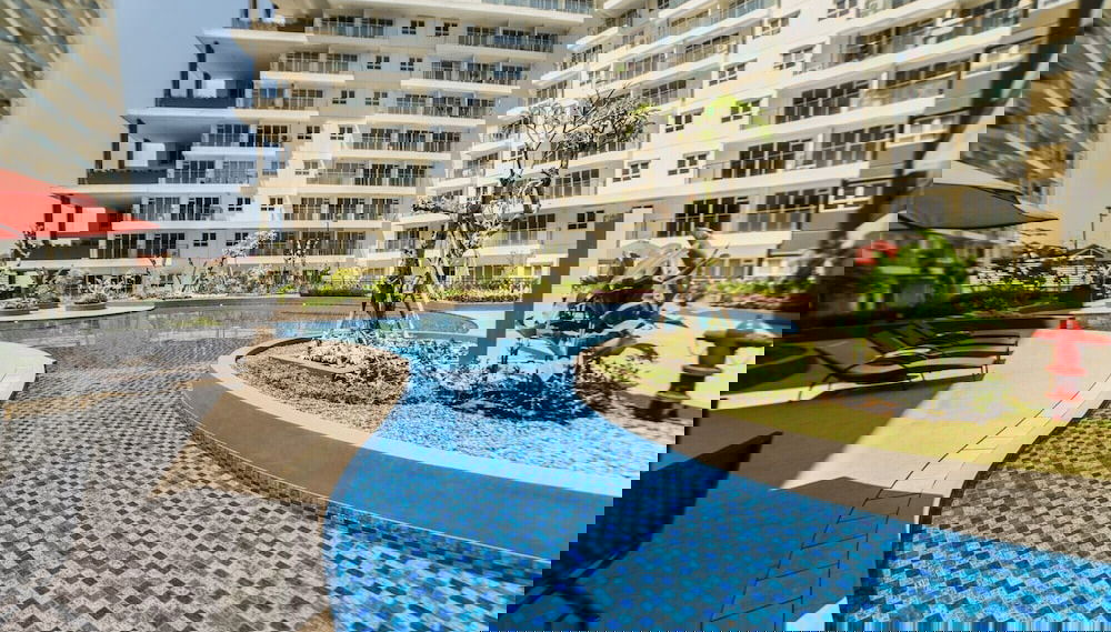 Imagem principal