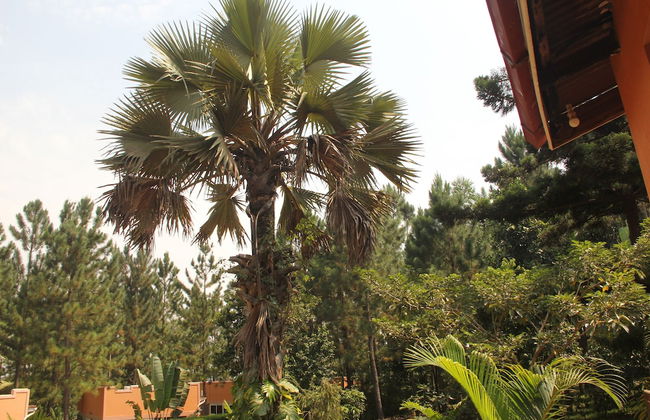 Saltek Forest cottages - Foto 21