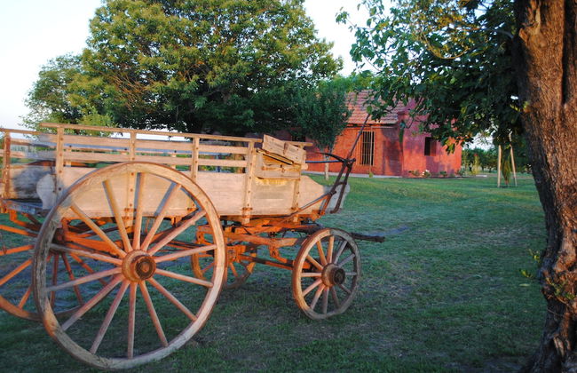 Finca Las Cavas - Photo 11