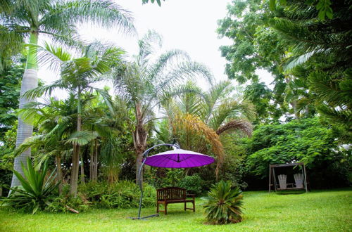 Photo 21 - Lush Gardens Apartment 1