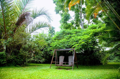 Photo 22 - Lush Gardens Apartment 1