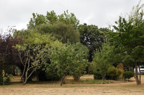 Photo 34 - Somerset Caravan Park