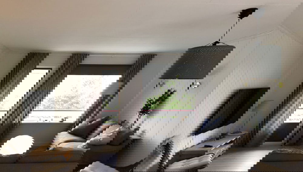 Primary image