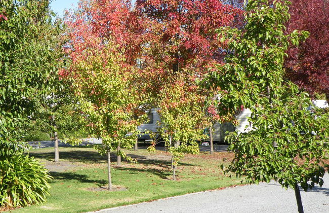 Lake Hamilton Motor Village & Caravan Park - Foto 51