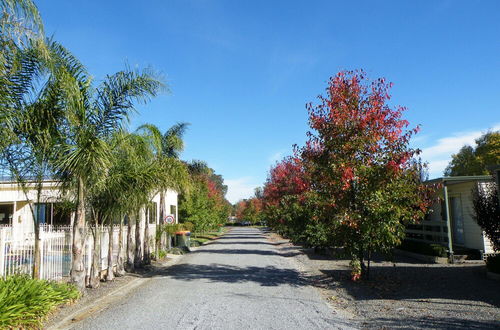 Photo 53 - Lake Hamilton Motor Village & Caravan Park